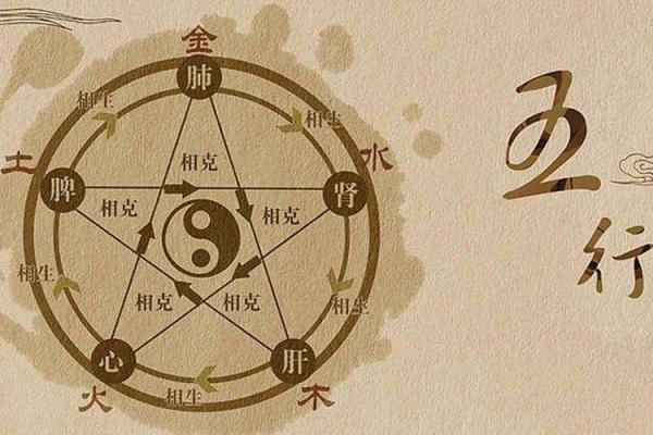 土命人和属相的完美搭配：探索土命人的命理世界