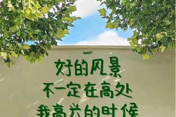 命运的多面性：掌控与随缘的辩证关系