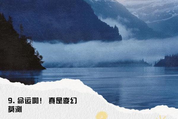 命中注定，命运如钥：探索人生的成语之旅