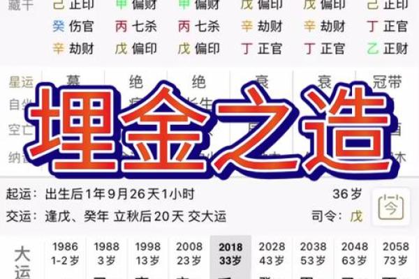 庚辰己酉命局解析：如何找到最优运势、提升人生福祉