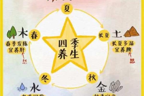 金命木命：探寻五行之中命理的奥秘与应用