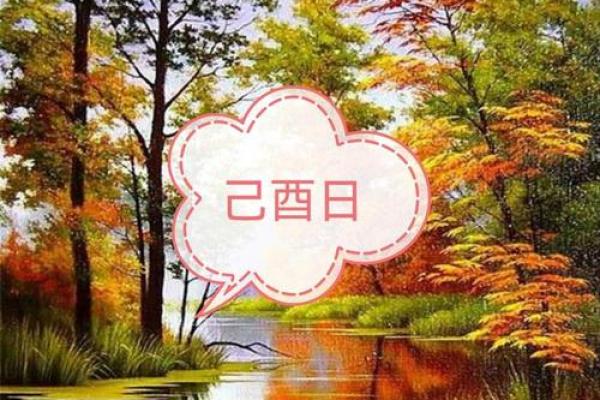 19961115出生的命理解读与人生智慧