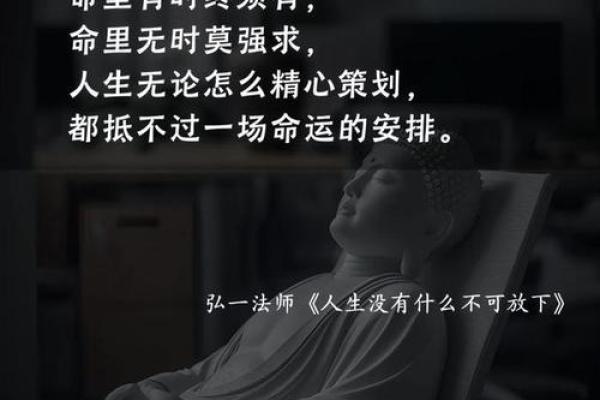 命中注定，命运如钥：探索人生的成语之旅