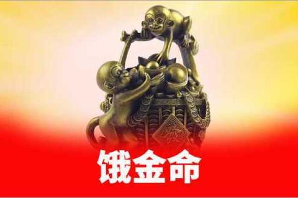 探秘饿金命：适合的方位与生活指南