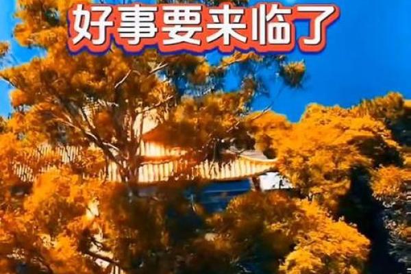 水命与土命：命名之道，助你顺风顺水！