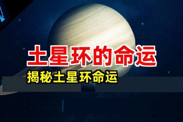 19900806：探秘命运密码与人生轨迹的深层解析