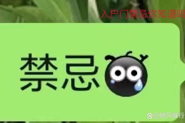 金命与火命的花卉选择：如何通过花卉养生提升运势