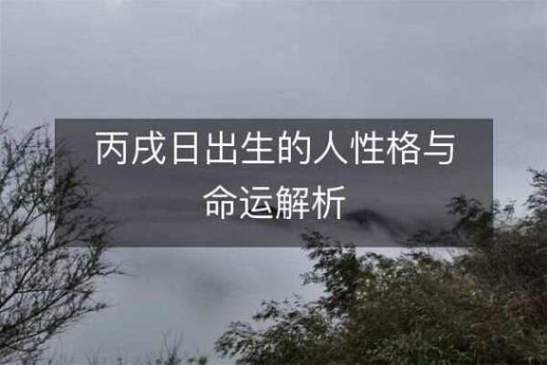 1955年羊年出生的人命运与性格解析