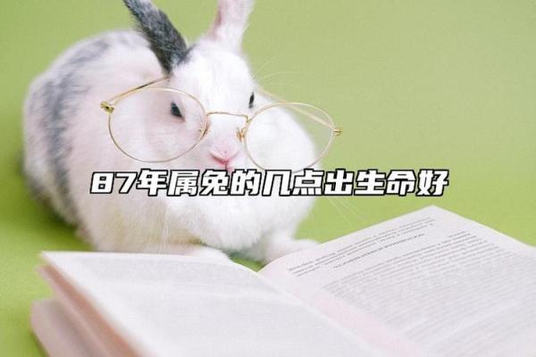 2011年属兔人：他们命运中的智慧与挑战
