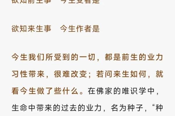 2054年：时间的印记与命运的交织