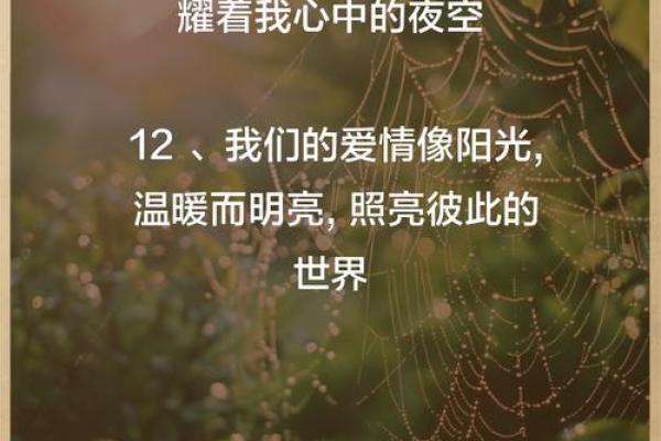 红红火火，命中注定：生命中的璀璨与奋斗