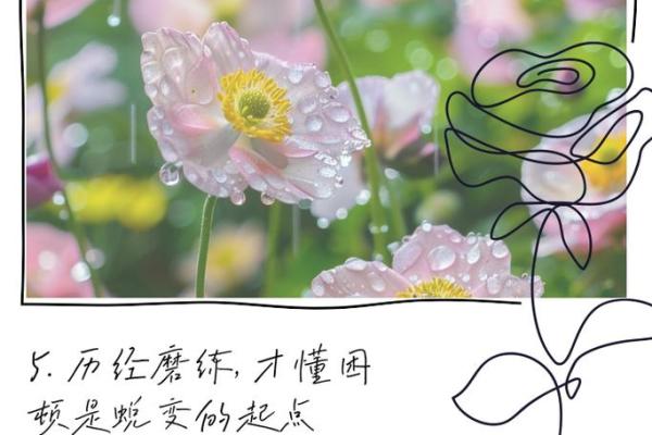 3023年：未来命运的启示与蜕变探秘