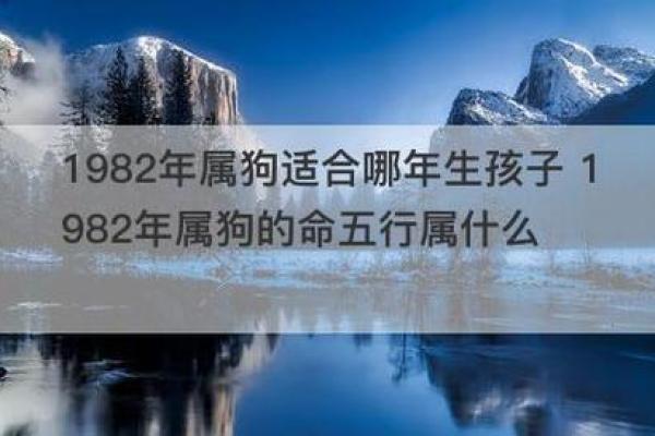 1982年出生的人命运解析：揭示出生年份的影响与人生走向