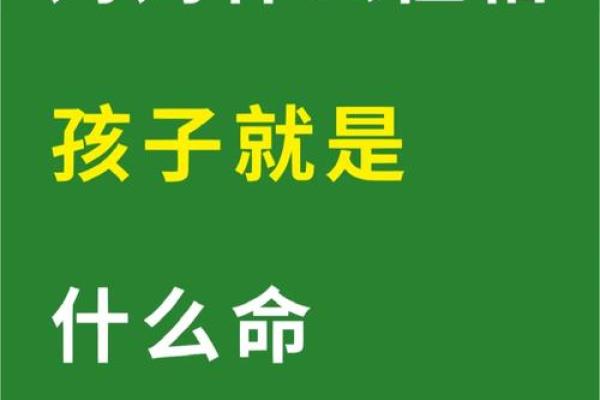 探寻“命也是命”：生活背后的深刻启示与思考