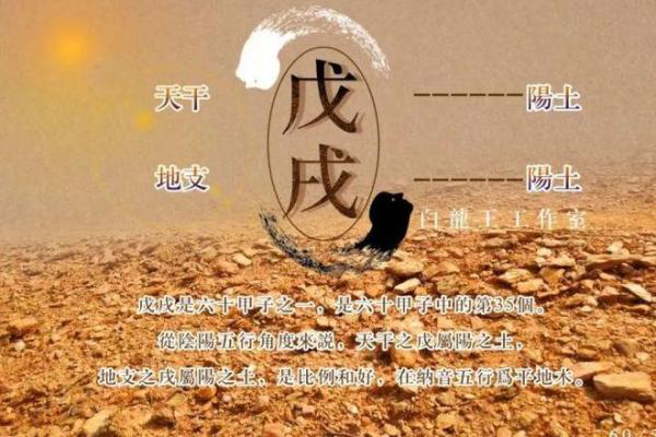 揭开2000年12月14日出生命理之谜：他们的命运如何？