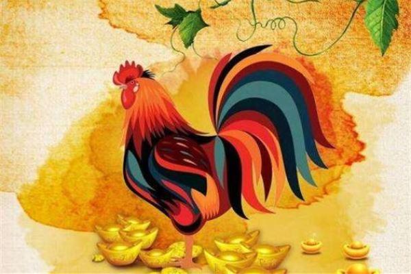 男命高女命强的生肖解析，揭示爱情与命运的奥秘