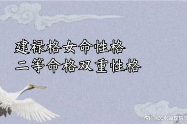 木虎命与最佳配命：解密命理的完美组合