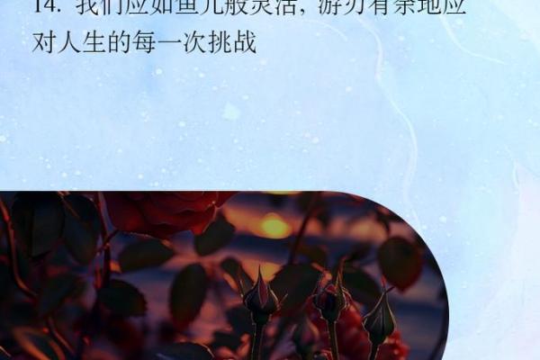 爱命成语接龙，情感化解人生冷暖