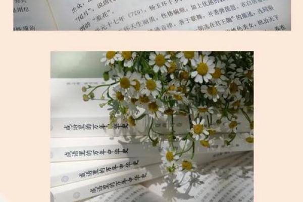 短时间内取得成功的秘诀——流畅命成语的智慧