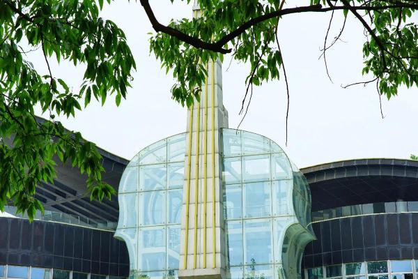 木命与契爸的绝佳搭配：寻找合适的命格以助成长之路