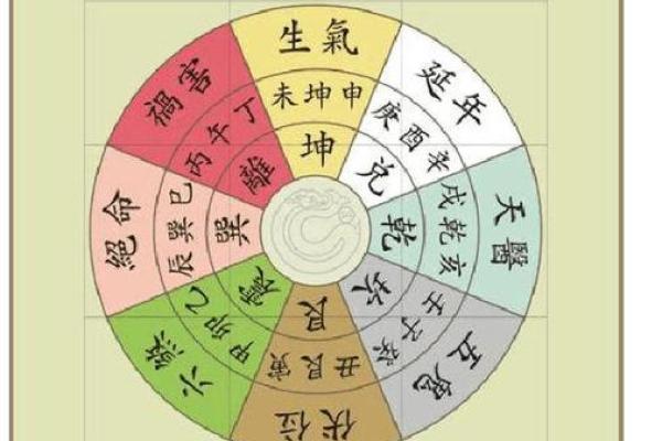 深入探讨坤命与西四命的含义与影响