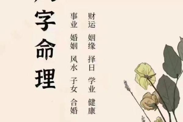 桃花命：解密你的命运与爱情的神秘联系
