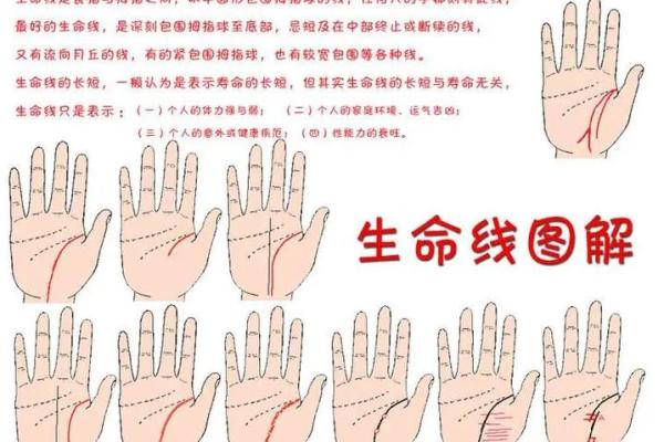 手纹解读：窥探那些命运多舛的神秘人生