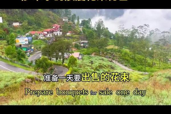 戊子日柱男命与女命的完美配对，揭示命理中的浪漫秘密！