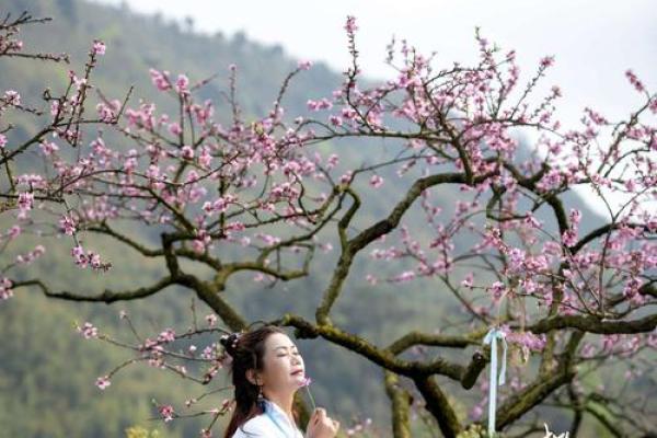 桃花源里，情缘如水：解密桃花命的浪漫与奇幻