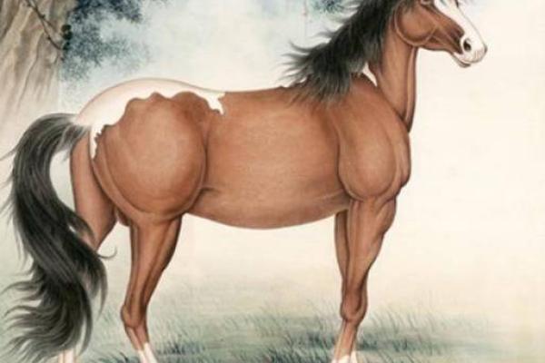 2015年属马的命理解析：运势与人生的启示