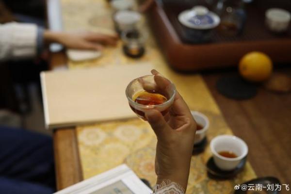 土龙命女与最佳命配对象解析，探寻幸福之道