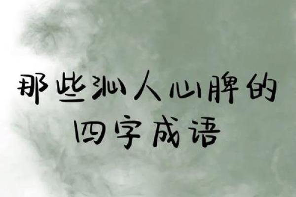 全民猜成语：奇妙的成语世界，解密字里藏的智慧