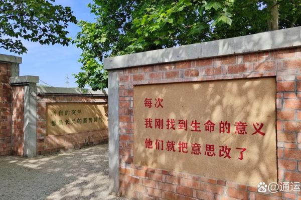 脾气与命运：从性格看人生轨迹的奥秘