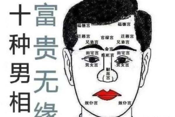 揭示面相学中的官太太命：如何通过面相看出你的贵人运势？