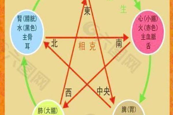 相生相克：召榴木命与最佳命理搭配解析