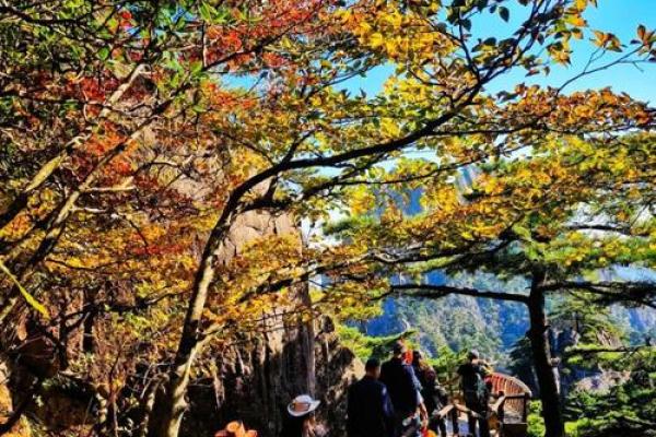 探索人与自然的和谐共生之路，让心灵与自然同频共振！