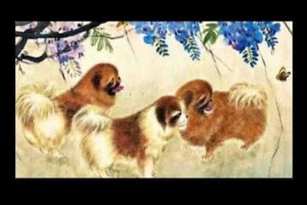 2015年出生的属狗人命运解读：他们的性格和未来走向有哪些？