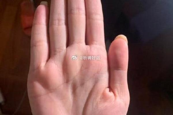 解读19910520的命运密码：一个生命的旅程与启示