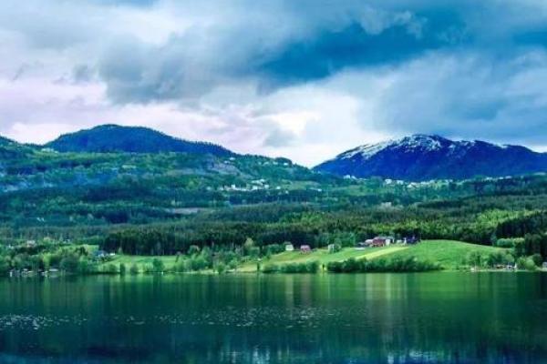 命里有时终须命，人生的意义与选择之道