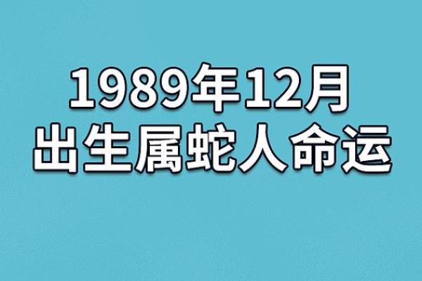 2001年属蛇的命运解析：紧随其后的机会与挑战