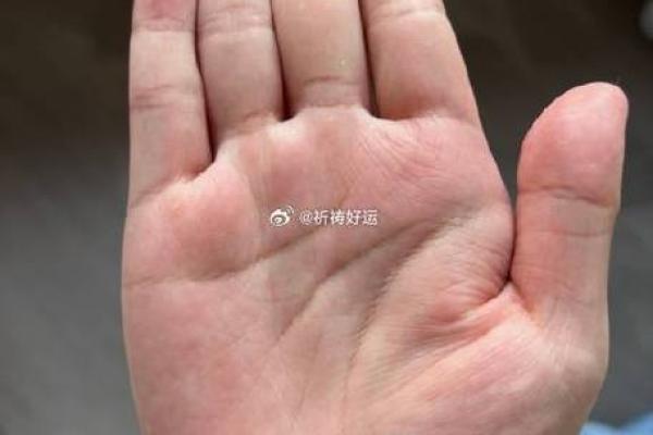 19900528：探寻生命密码，生辰八字与命运的奥秘