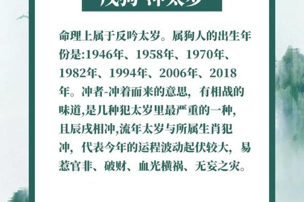 2025年出生的人命理解析：命运与个性的深度剖析