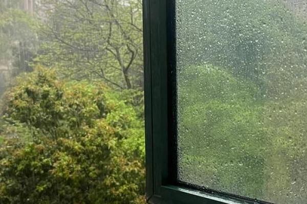 19870203出生的人命理分析：深邃的内心与独特的人生轨迹