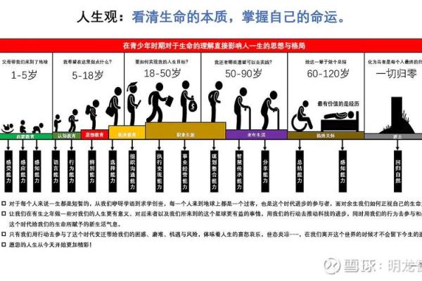以命换命的真相：探寻生命的深层意义与价值