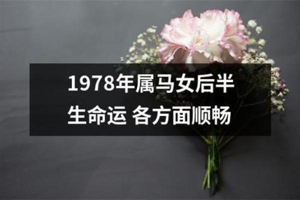 1978年属马的命运与性格解析:他们的未来如何? 1978年属马的命运与性格解析:他们的未来如何?