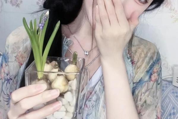 命里缺木的女人:探寻她们的命运与生活智慧 命里缺木的女人:探寻她们的命运与生活智慧