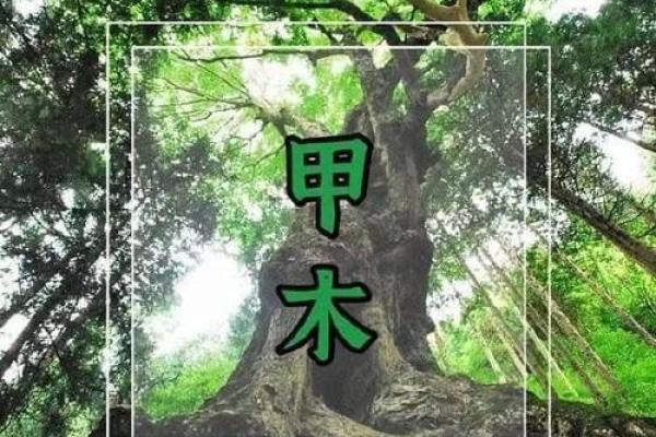 土命与木命：佩戴的好运饰品，助你提升运势和福气！