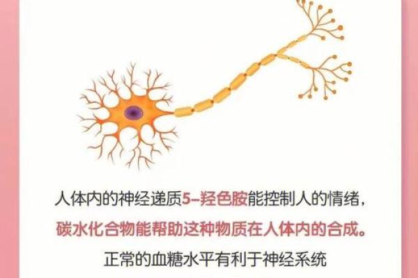 如何判断自己的命是什么命？探索命运的奥秘与自我认知