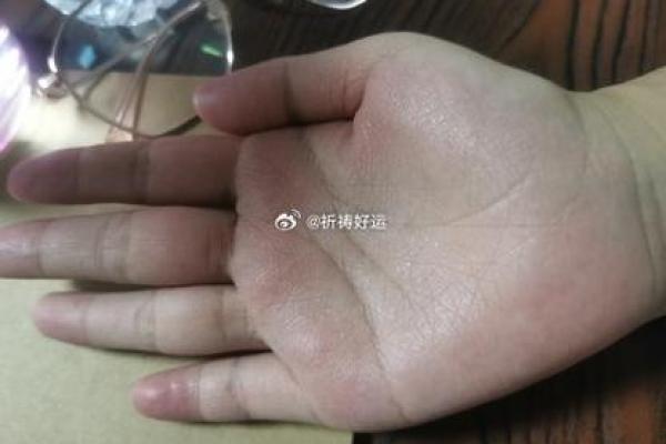 1990613命理分析：探索个人命运的奥秘与转机