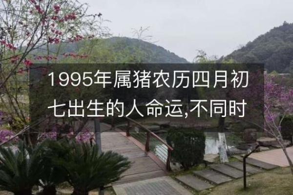 1995年出生的人命运解析：属什么命与未来发展之路